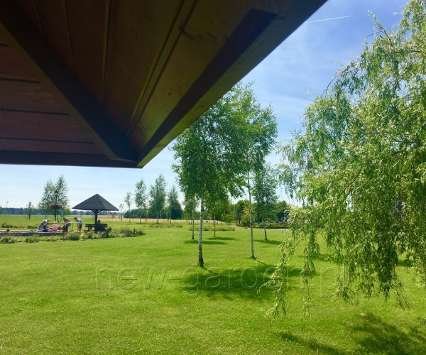 Park - Kamień Śląski