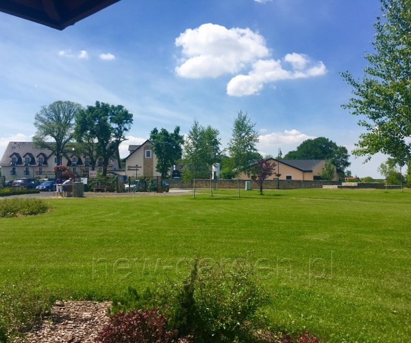 Park - Kamień Śląski