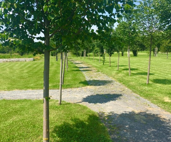 Park - Kamień Śląski