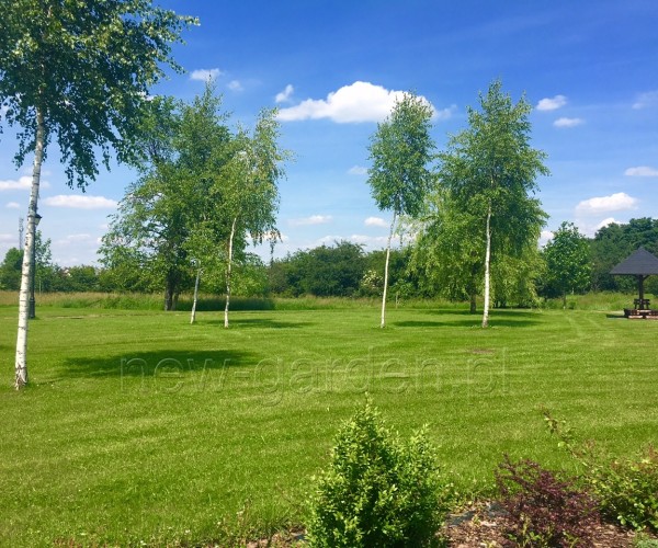 Park - Kamień Śląski