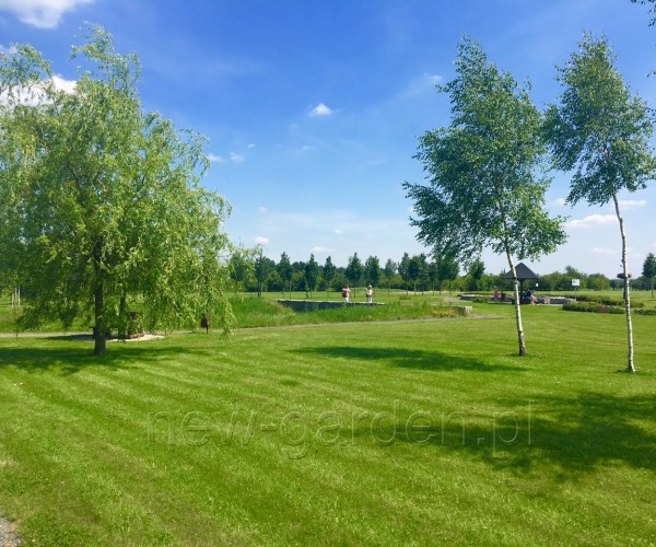 Park - Kamień Śląski