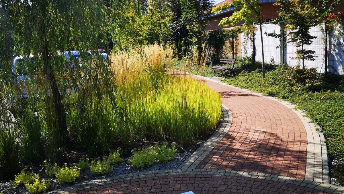 BetaMed Chorzów - Park