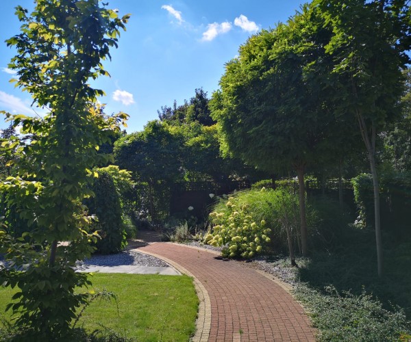 BetaMed Chorzów - Park