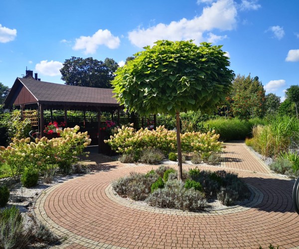 BetaMed Chorzów - Park