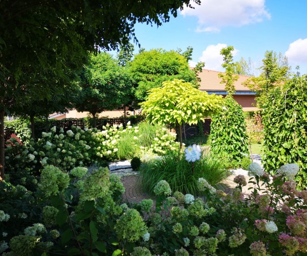 BetaMed Chorzów - Park