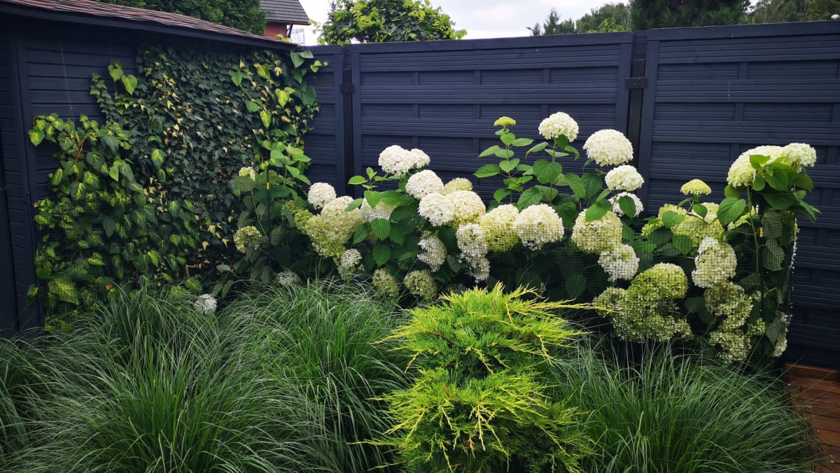 Ogród Gliwice Łabędy