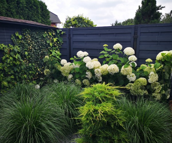 Ogród Gliwice Łabędy