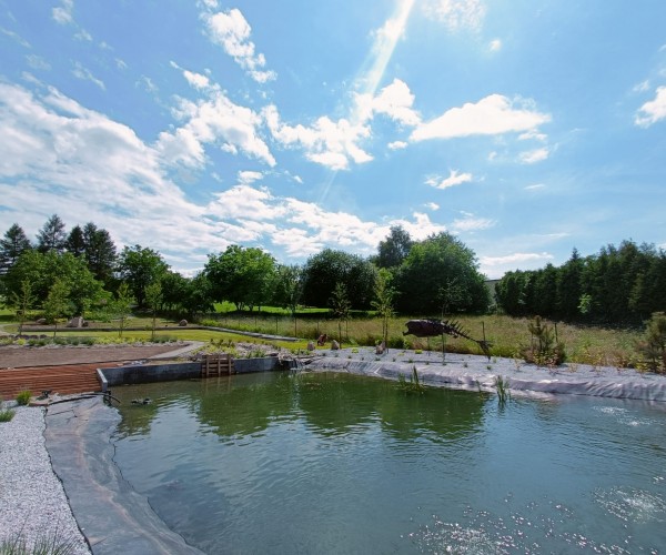 Staw Wodzislaw Śląski