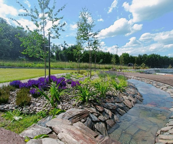 Staw Wodzislaw Śląski